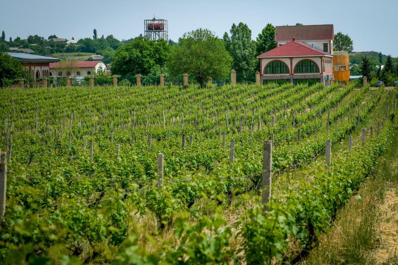 Chabiant Guesthouse Chateau Monolit Ikinci Yeniyol Eksteriør billede